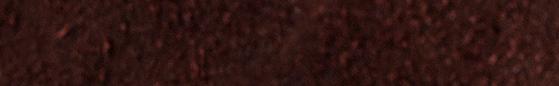 Angelus Suede Dye Dark Brown