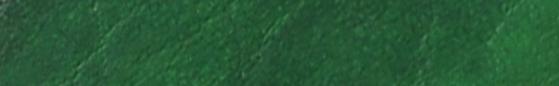Angelus Leather Dye Kelly Green