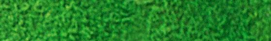 Angelus Suede Dye Kelly Green