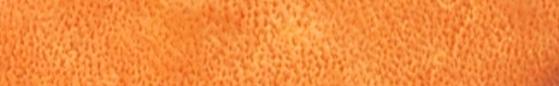 Angelus Leather Dye Gold