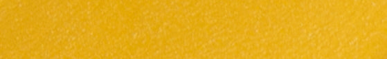 Angelus Mustard Acrylic Leather Paint
