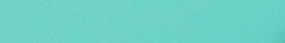 Angelus South Beach Acrylic Leather Paint