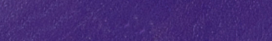 Angelus Grape 5 Collector Edition Acrylic Leather Paint