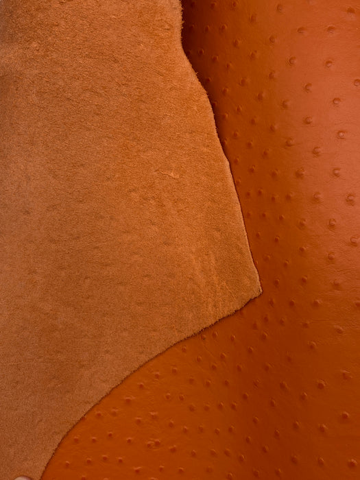 orange ostrich leather