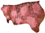 Acid Wash Alligator Embossed Sides