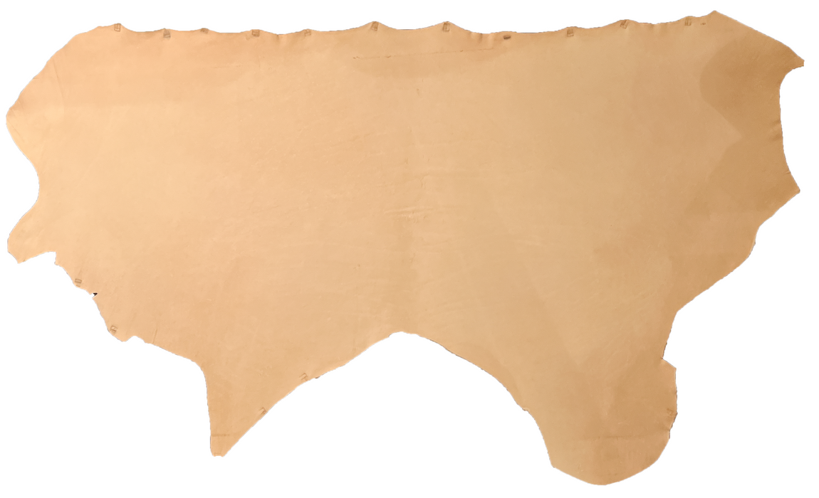 Double Shoulder - Untrimmed, Vegetable Tanned 4oz/5oz